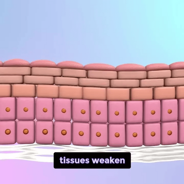 Verfrissende Oogmassage Apparaten