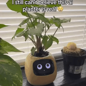 BloomBot Slimme Plantenpot voor Huis